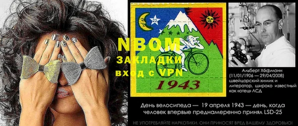 индика Алзамай