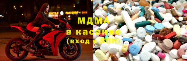 индика Алзамай